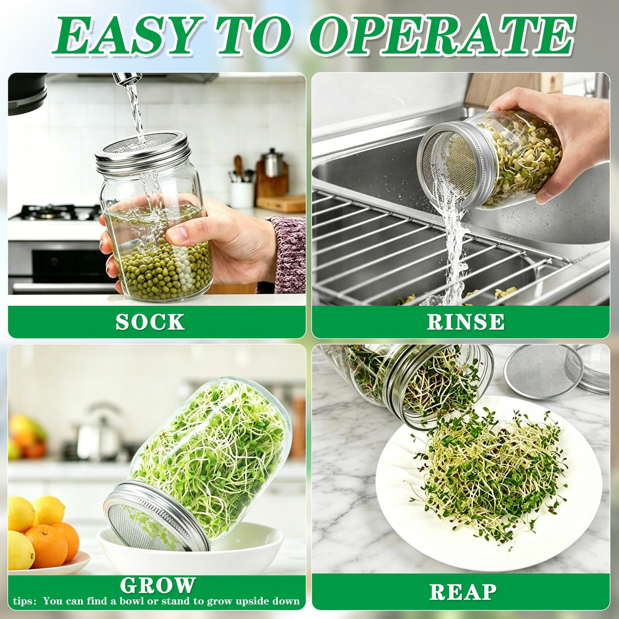 Bylion 2-in-1 Seed Sprouting Set- Green Onion Regrower Kits - Onion Planter Scallion, Grower Seed Sprouting Kit with Regrower Sprouting Lids, Mason Jar and Natural Bamboo Base for Windowsill Garden