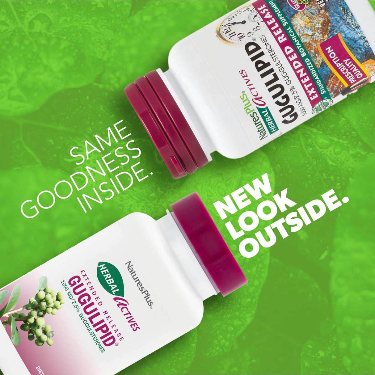 Natures Plus Herbal Actives Gugulipid, Extended Release- 1000 mg, 2.5% Guggulsterones - 30 Vegan Tablets - Ayurvedic Botanical Supplement - Vegetarian, Gluten-Free - 30 Servings