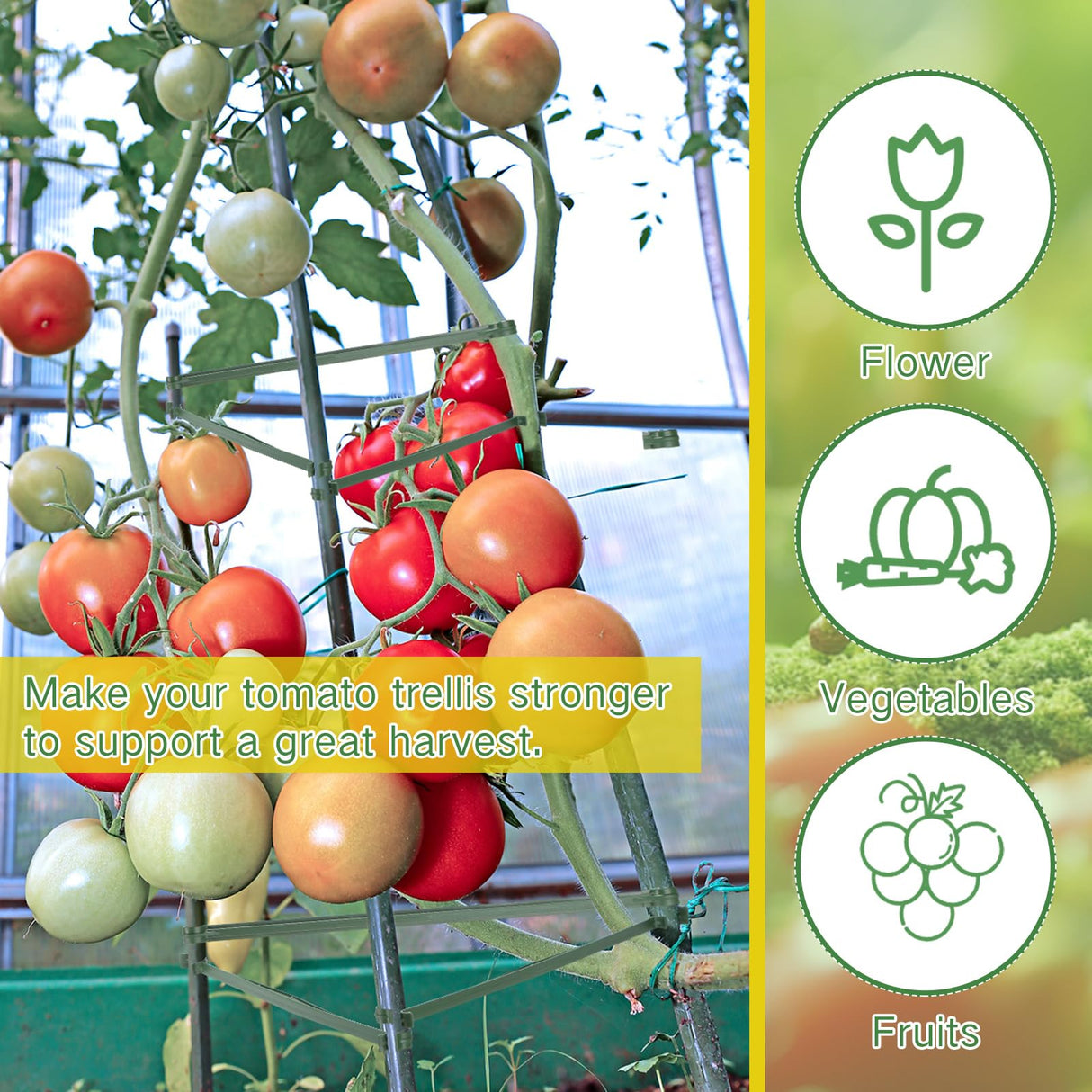 Geelin 200 Pcs Plant Stake Arms for Tomato Cage, 11.8" Expandable Trellis Connectors, 11mm Bayonet Diameter Plant Stakes for Climbing Plants, Tomatoes Stakes, Vegetables