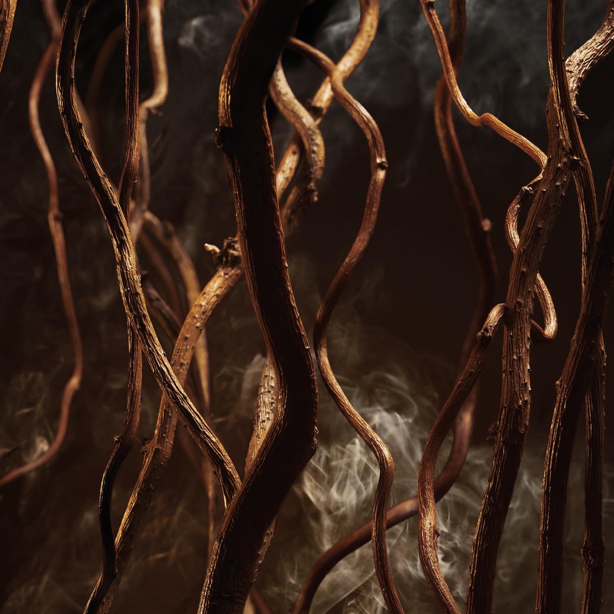 Hugo Boss Men's Boss Bottled Elixir Parfum - Notes of Vetiver, Patchouli and Cedarwood