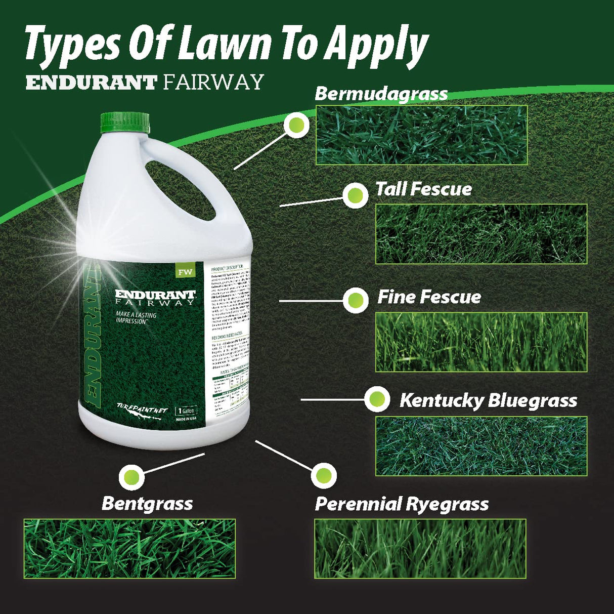 Endurant Turf Colorants - Fairway Spray On Green Grass Paint for Lawns - Revives Dry, Patchy Yards - Dark Grass Hue - Easy to Use, Concentrated Turf Grass Dye - Covers Approx 10,000 Sq Ft - 1 Gal
