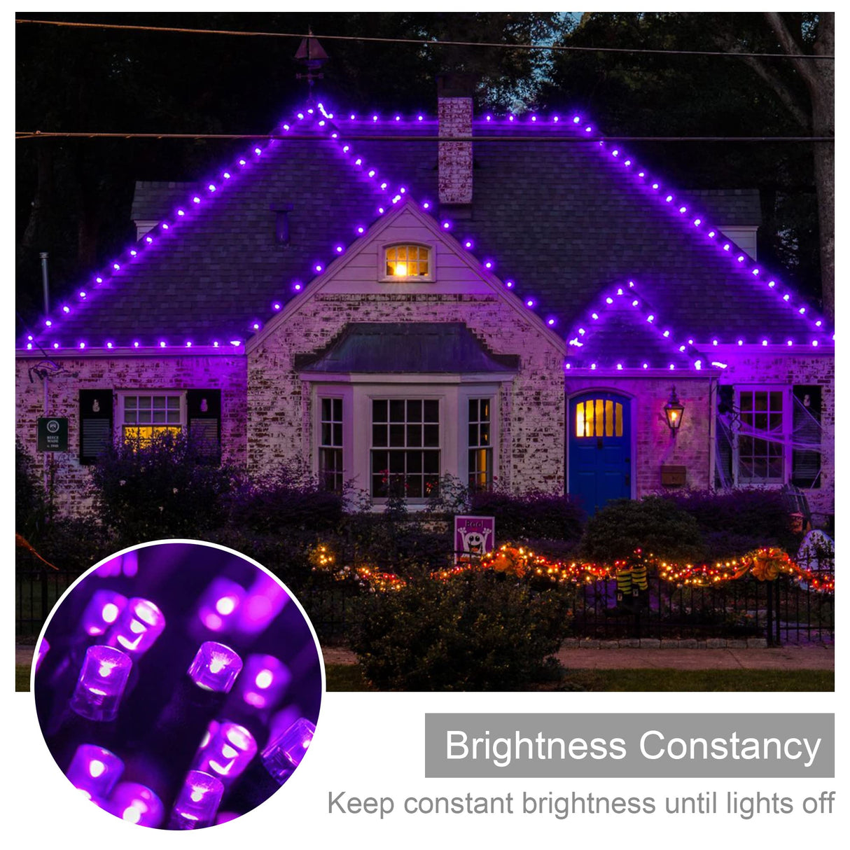 weillsnow 164FT 500 LED Purple Christmas Lights, 8 Modes Waterproof Plug in String Lights for Halloween Christmas Indoor Outdoor Yard Party Wedding Garden Home Decorations (Purple, 164FT)