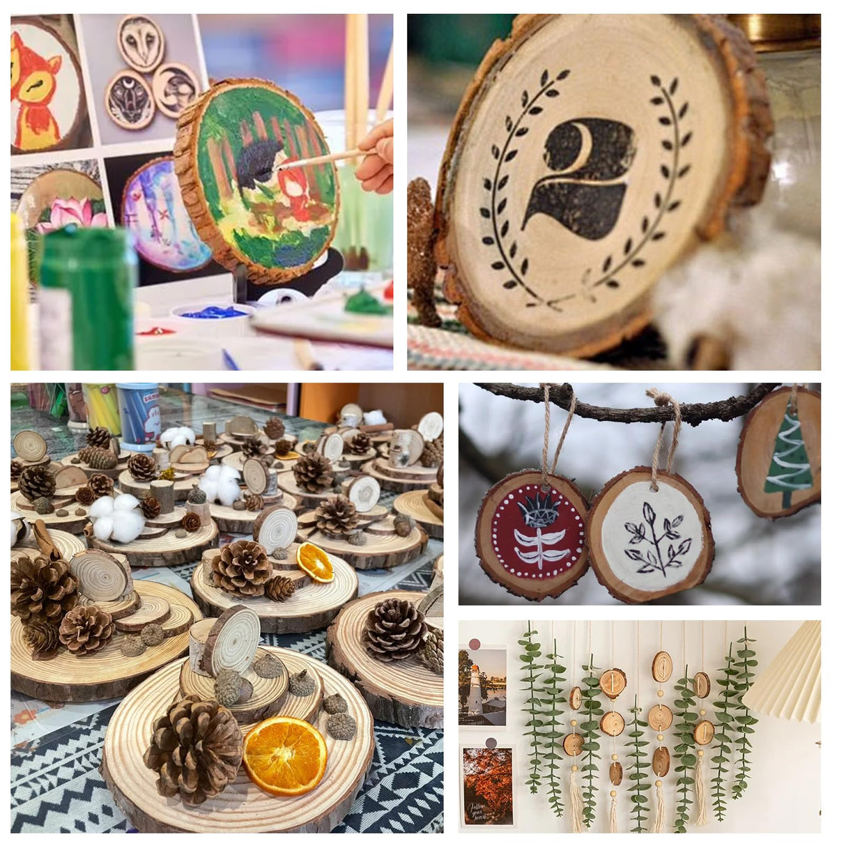 100 Pack Nature Wood Slices for Crafts,2.4-2.8In Unfinished Natural Wood Rounds.Wood Circles Predrilled with Hole and 20m Rope for Wooden Craft Supplies,Painting,Christmas Ornaments,DIY Gifts