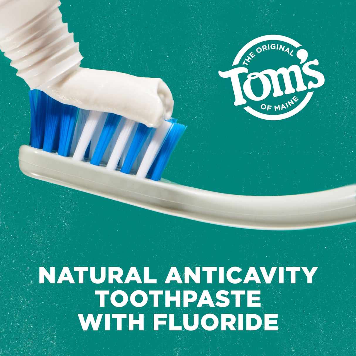 Tom's of Maine Whole Care Natural Toothpaste with Fluoride, Spearmint, 4 Ounce (Pack of 3), (Packaging May Vary)