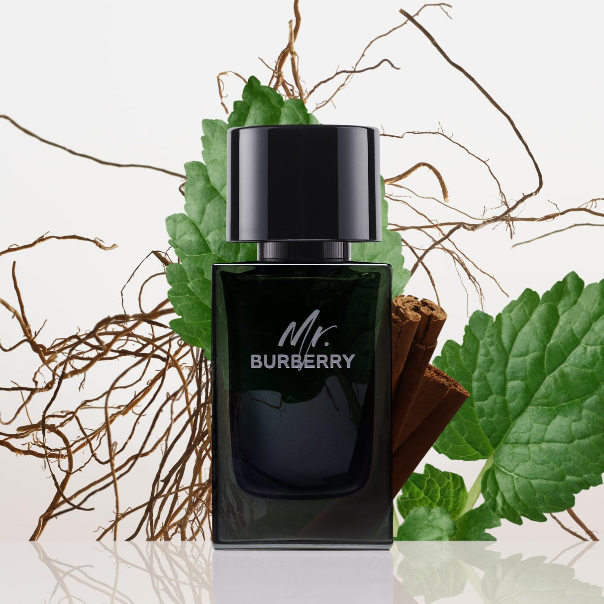Burberry Mr. Burberry Eau de Parfum 3.3 fl oz