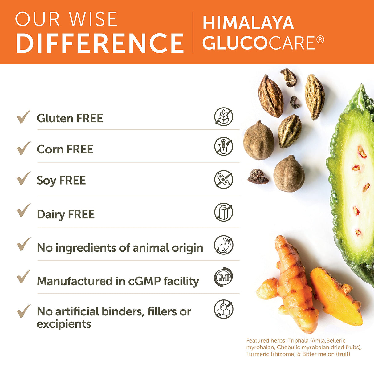 Himalaya GlucoCare, 3 Week Supply - Herbal Glucose Metabolism and Pancreatic Support with Triphala, Turmeric, Bitter Melon, and Gymnema - Vegan, Non-GMO, Gluten Free, 90 Capsules