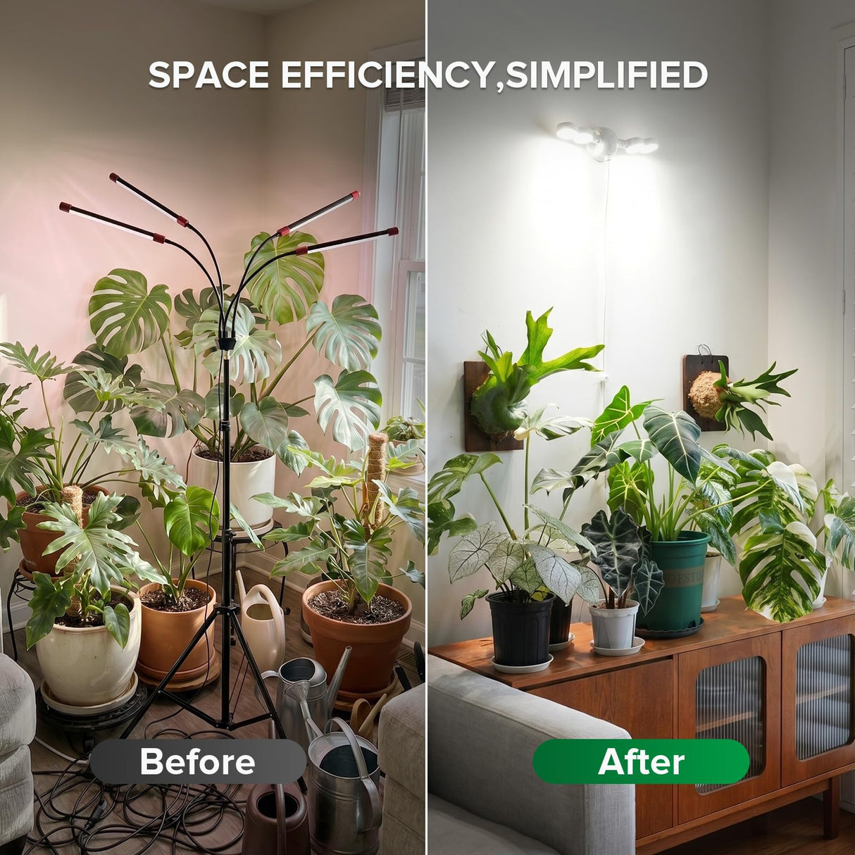 SANSI 30W Wall Mounted Grow Light – Dual Head Full Spectrum Plant Light with Remote, Programmable Timer, Dimmable 4-Level Brightness, 320° Wide Coverage, 4000K Natural Light for Indoor Plants