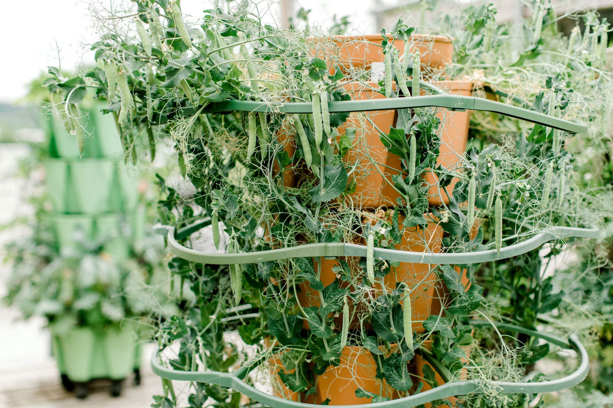 Greenstalk Set of 3 Plant Supports for Growing Tomatoes, Cucumbers, Peppers, Eggplant, and Squash Vertically in a Vertical Planter