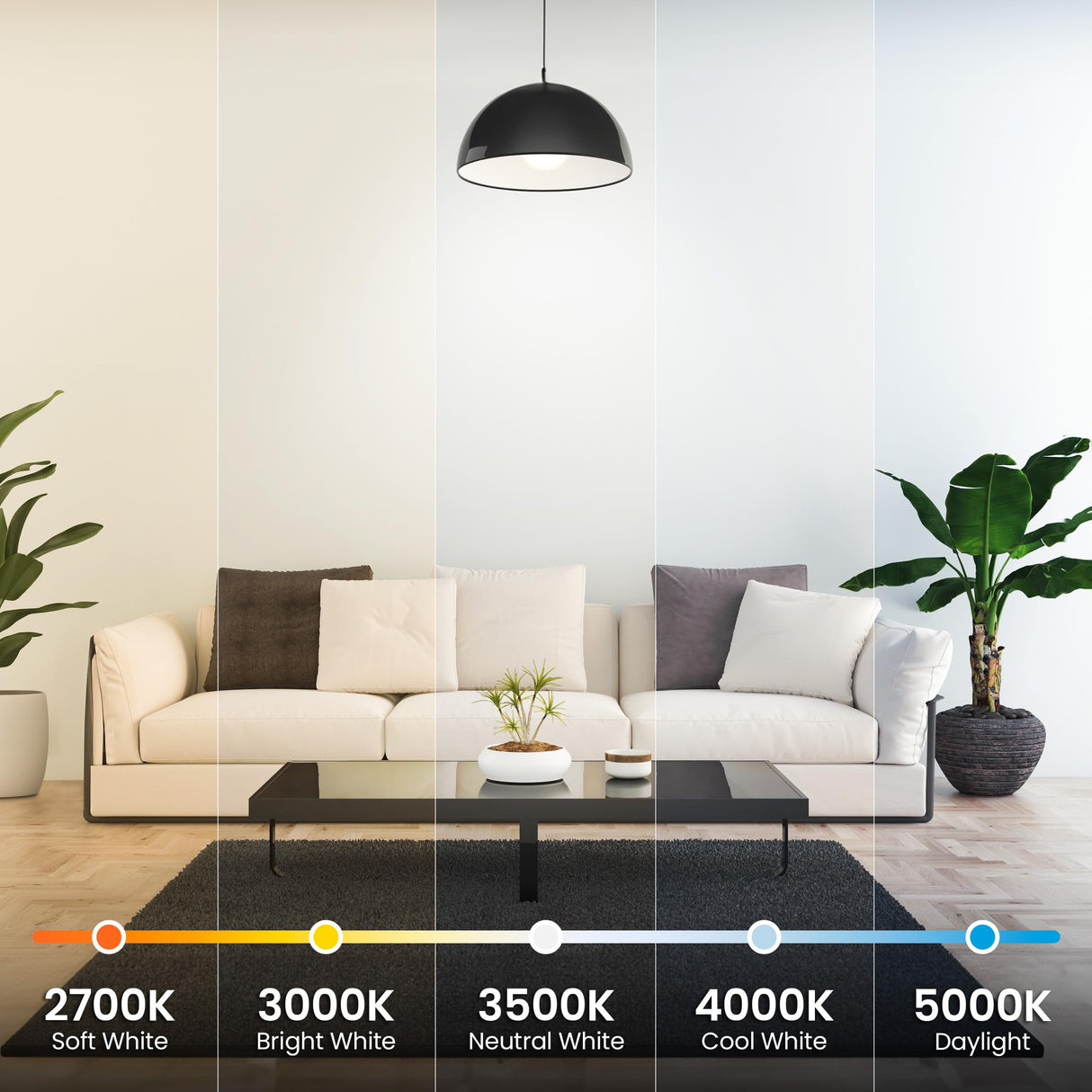 Feit Electric A19 LED Light Bulb, 60W Equiv, Non-Dimmable, Selectable Color Temperatures (2700K-5000K), 800 Lumens, General Purpose Light Bulbs, 17,000-Hour Lifetime, OM60/5CCT/15KLED/10, 10 Pack