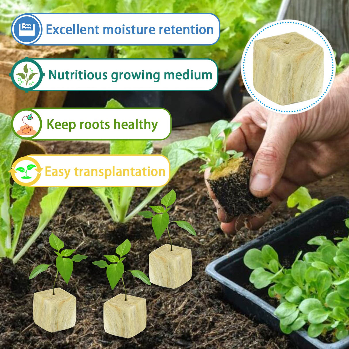 Legigo 1.5 Inch Rockwool Cubes for Hydroponics Seed Starter, Rock Wool Planting Cubes Hydroponic Garden Grow Plugs for Soilless Cultivation Plants Cutting Germination Clone(4 Sheet, 196 Plugs)