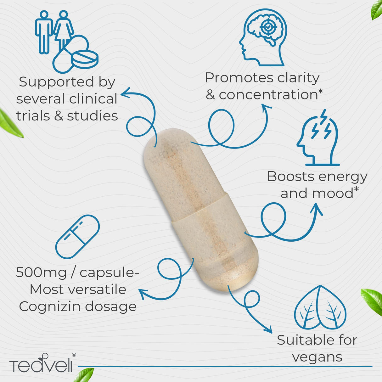 Teaveli Cognizin Citicoline- 500mg CDP Choline Capsules- Clinically Studied Brain Supplement to Support Clarity, Concentration and Memory – Most Bioavailable Form of Choline Supplements - 30 Servings