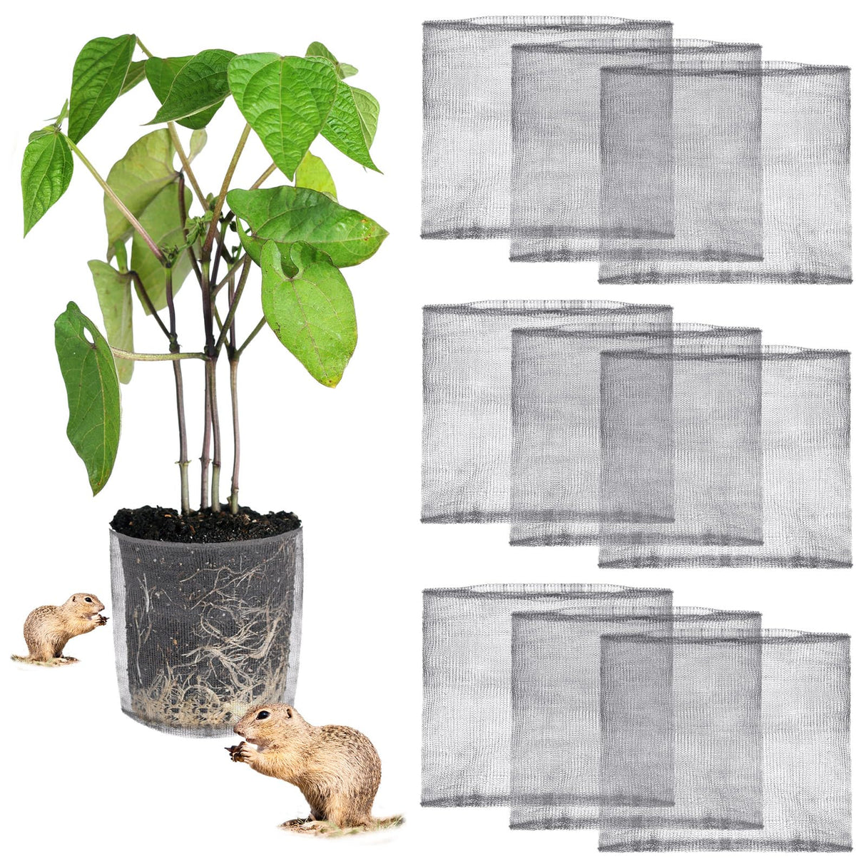 Yaocom 10 Pcs 15 Gallon Gopher and Vole Wire Baskets Stainless Steel Plant Root Protector Gopher Cages for Tree Flowers Vegetables Garden Underground Protection