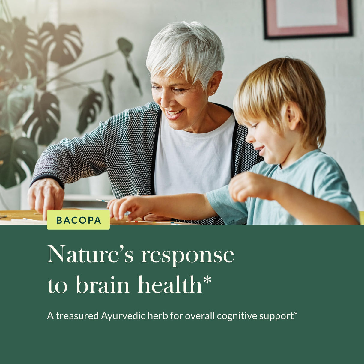 Gaia Herbs Bacopa - Brain and Cognitive Support Herbal Supplement - Made with Bacopa (Bacopa Monnieri) to Help Support a Thriving Mind - 60 Vegan Liquid Phyto-Capsules (Up to 60-Day Supply)