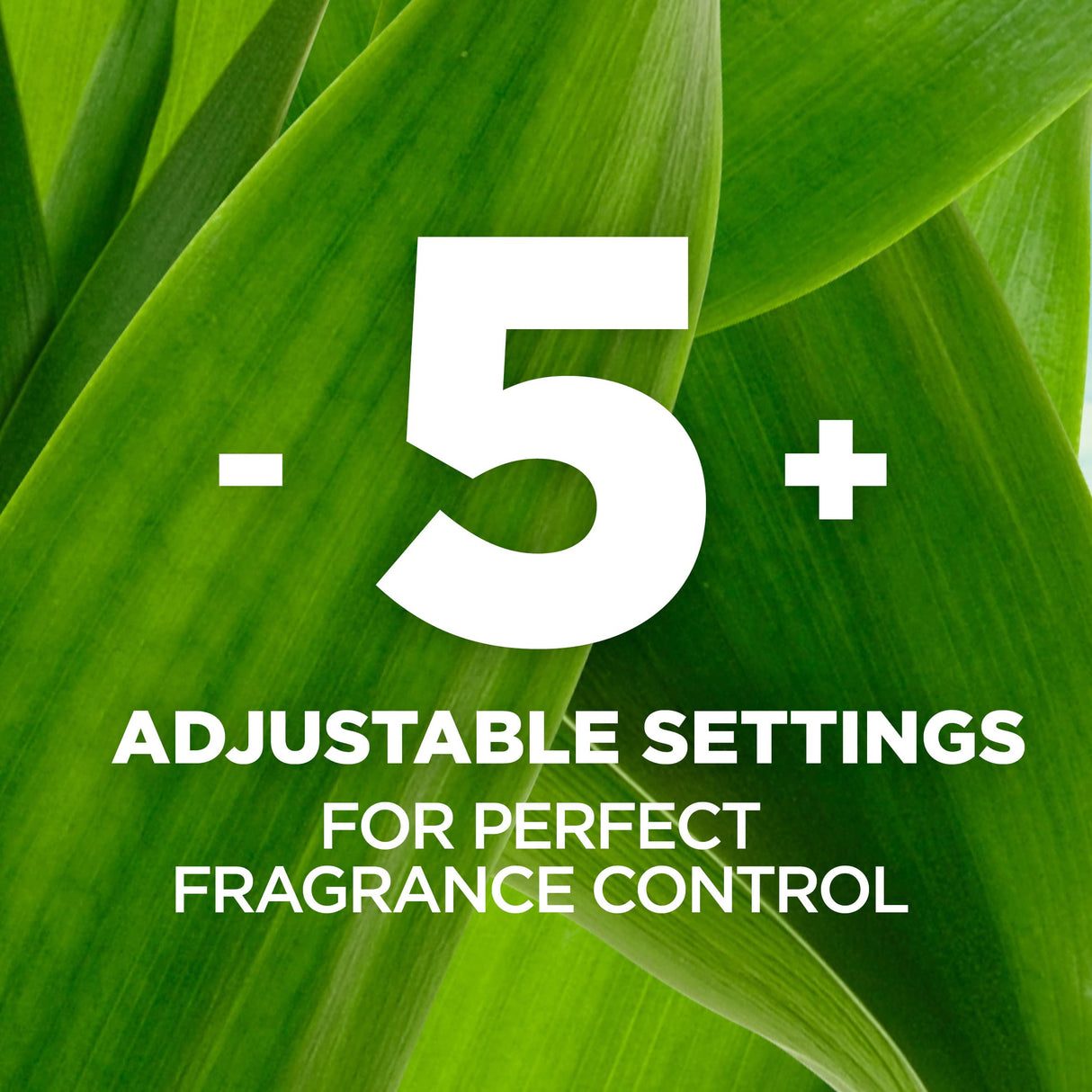 Air Wick Plug in Scented Oil Refill, 5ct, Forest Spice & Leaves, Fall Scent, Essential Oils, Air Freshener