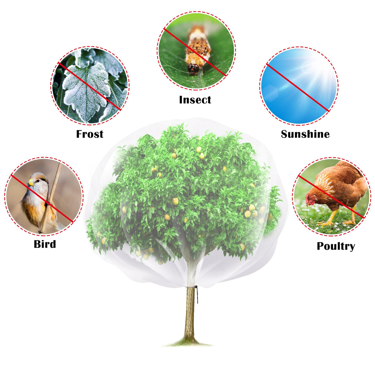 2 Pcs Fruit Tree Netting, 7 x 8 Ft Large Insect Bird Barrier Tree Net with Drawstring, Garden Bird Netting Plant Cover for Protect Plant Fruit Flower from Insect Bird