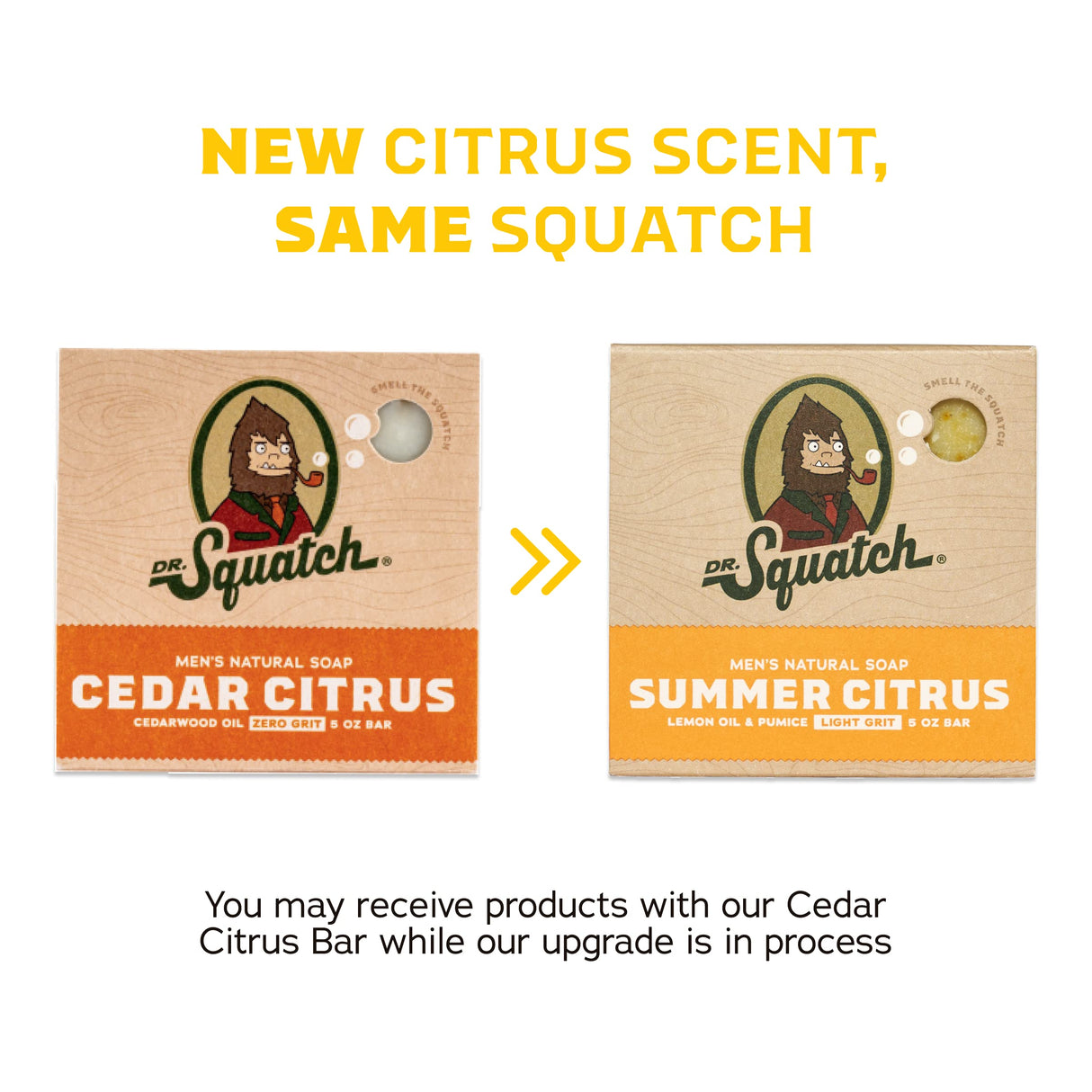 Dr. Squatch Natural Bar Soap for Men Variety Gift Set - Cold Process No Harsh Chemicals - Pine Tar, Bay Rum, Grapefruit IPA, Cool Fresh Aloe, Alpine Sage & more (5 oz, 10-Pack)