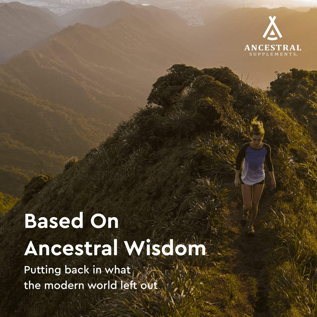 Ancestral Supplements Grass Fed Beef Spleen Supplement, 3000mg Beef Organ Spleen Support Formula Promotes Digestive, Immune, Iron, Energy and Allergy Health, Non GMO, 180 Capsules