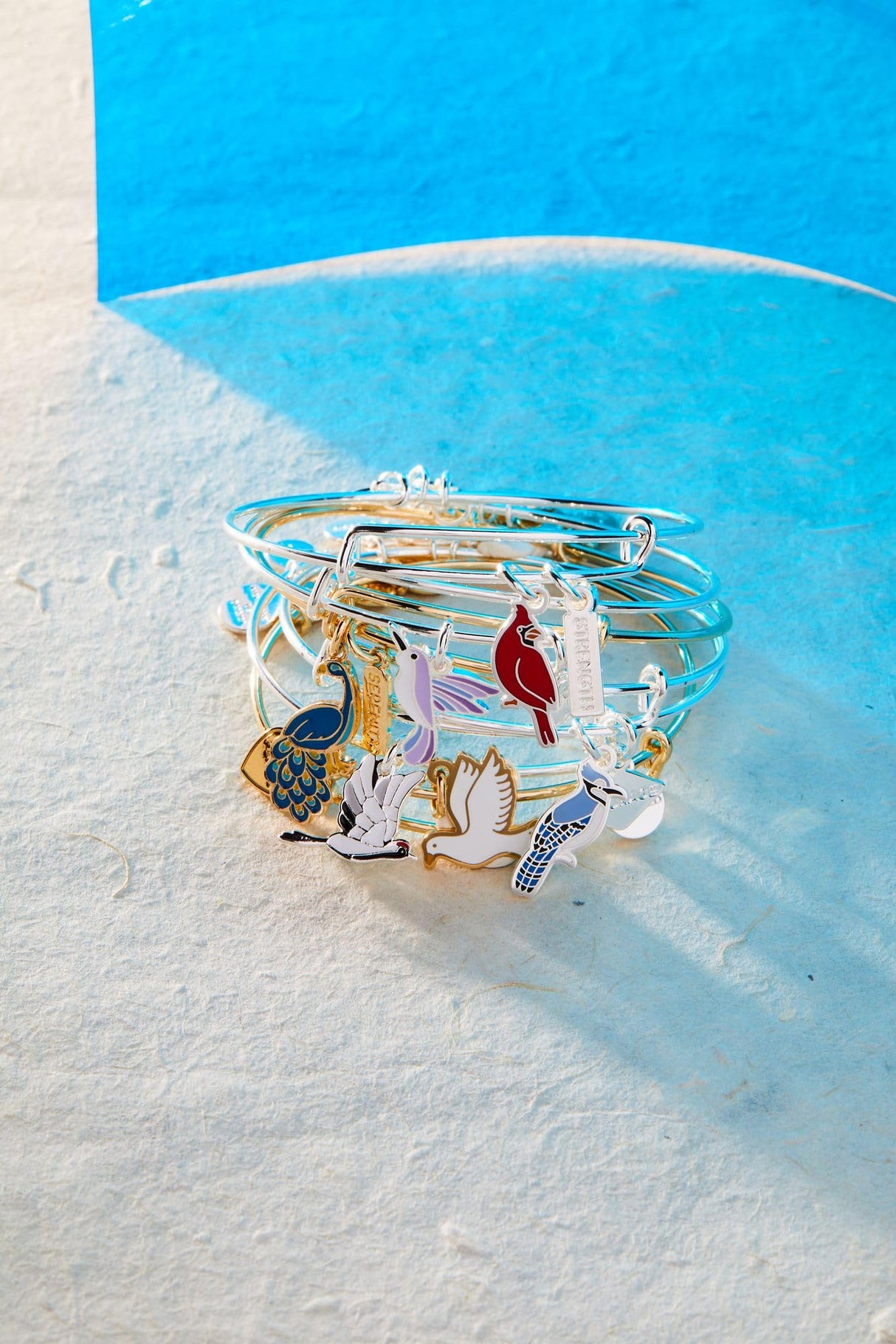 ALEX AND ANI 'Strength' Cardinal Duo Charm Bangle Bracelet - Red Cardinal Charm, Inspirational 'Strength' Accent, Nickel-Free, Cardinal Jewelry for Women (Shiny Silver)