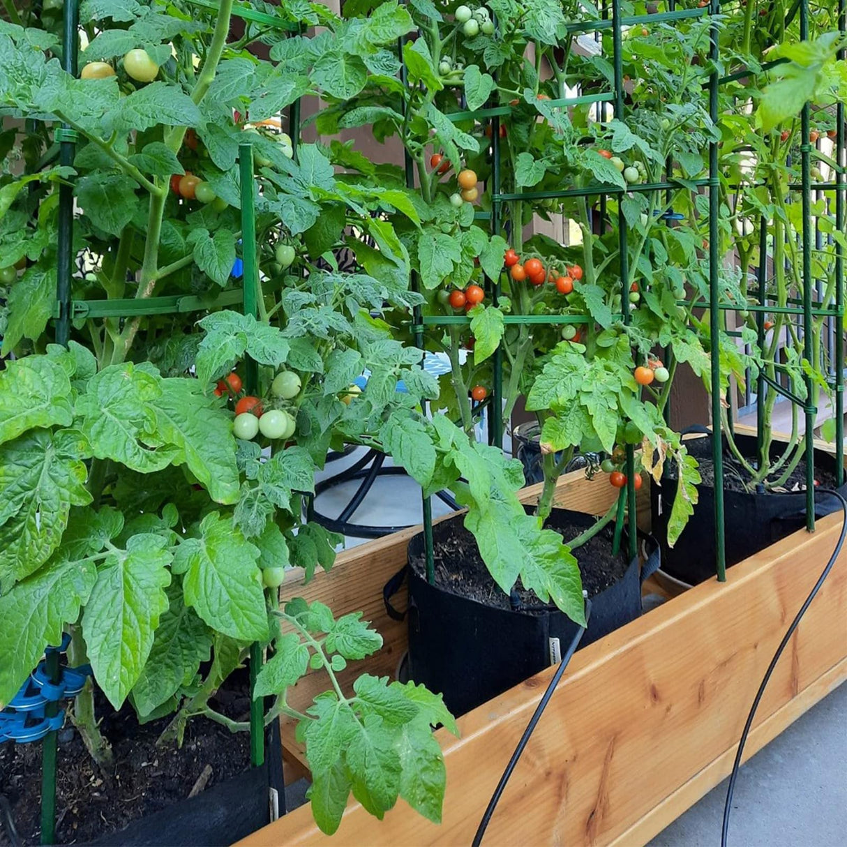 25 Pack Garden Stakes 4FT (48 Inch), Heavy Duty Steel Tomato Stakes with Plastic Coating, Plant Support Stakes for Outdoor Climbing Plants, Vegetables, Beans, Potted Plants & Garden Use