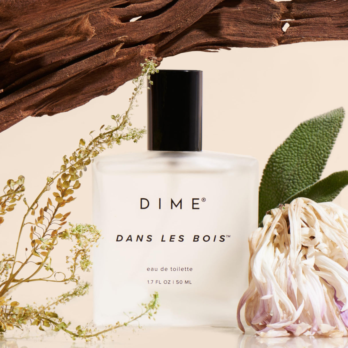 Dime Beauty Perfume Dans Les Bois, 1.7 oz / 50 ml - Feminine and Bold Scent, Hypoallergenic, Clean Perfume, Eau de Toilette For Women