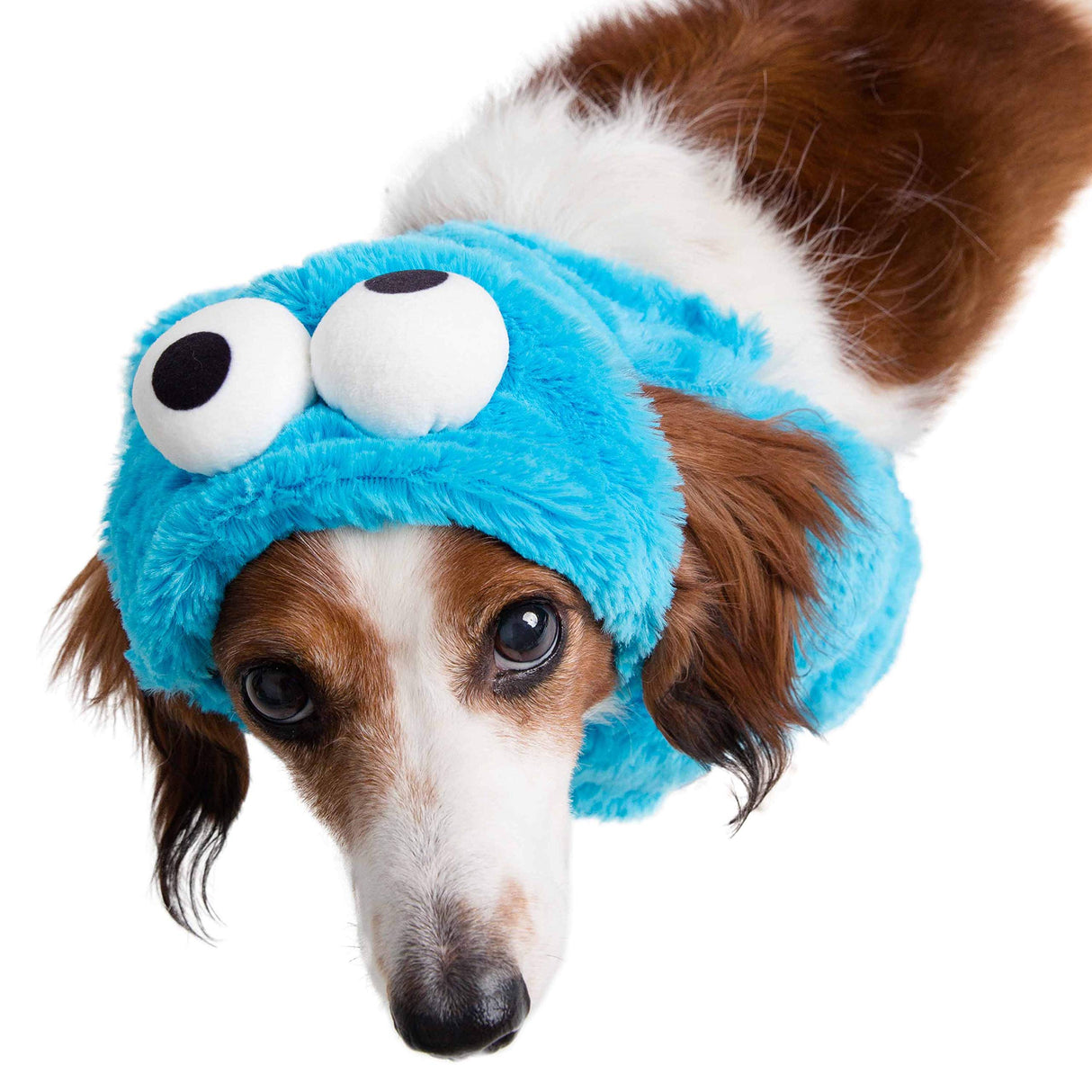 Pet Krewe Unleash The Parade Cookie Monster Dog Costume Sesame Street Pet Costumes for Medium Dogs or Cat Outfit - Perfect for Halloween, Christmas Holiday, Parties, Photoshoots, Gifts for Dog Lovers