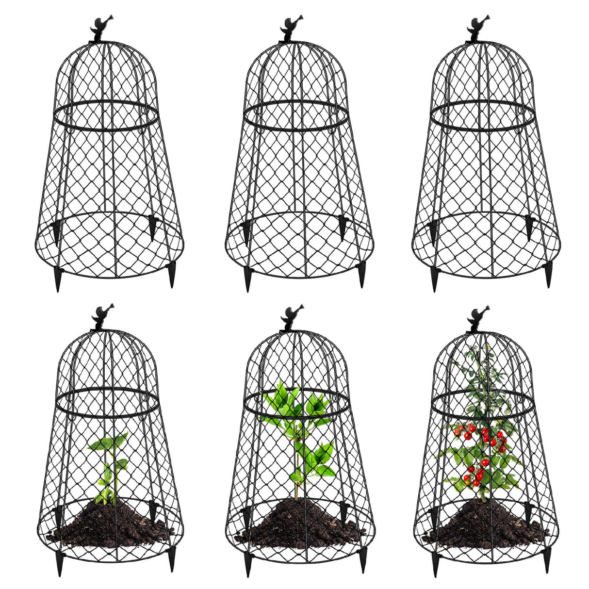 6 Pack Plant Protectors from Animals, Garden Cloches for Plants, Rustproof Chicken Wire Cloche Plant Cages to Keep Animals Out, Sturdy Metal Garden Cages for Outdoor Plants 13" D x 20" H
