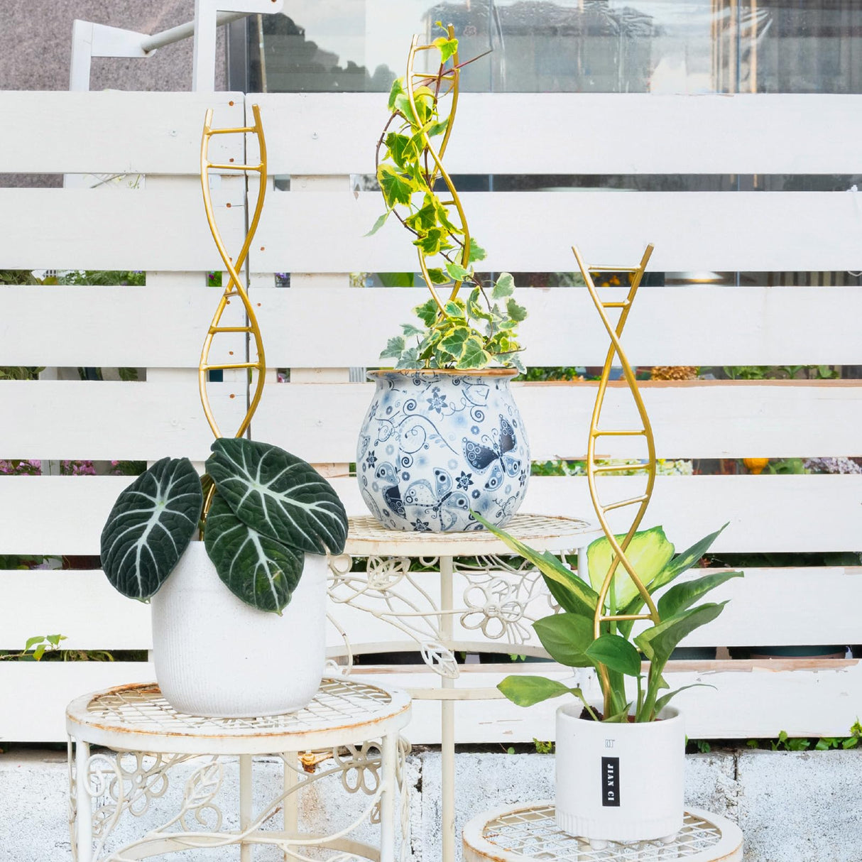 Yohsnor 3PCS DNA Plant Trellis Indoor & Outdoor,Metal Trellis for Pots