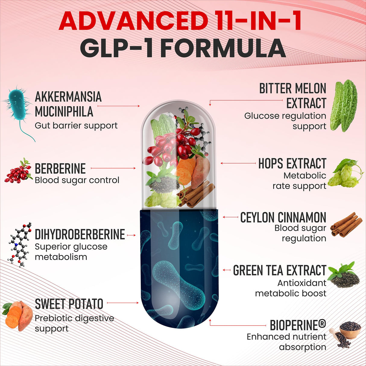 Zenrenu GLP-1 Supplement for Women-Natural Appetite,Craving & Loss Support – Akkermansia Probiotic, Super Berberine & Cinnamon,11-in-1 Gut & Metabolism Support - GLP1 Activate -60 Vegan Caps