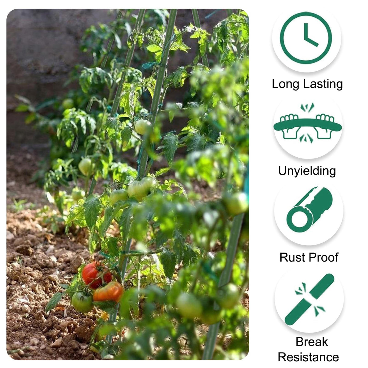 TINGYUAN Garden Stakes 30 Inches Steel Plant Stakes Tomato Stakes Pack of 25