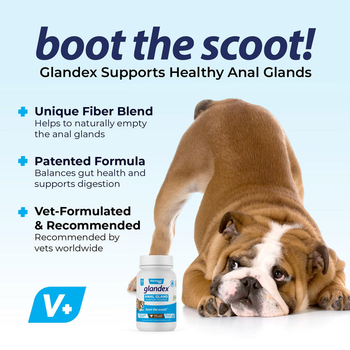 Glandex Dog Fiber Supplement Powder for Anal Glands with Pumpkin, Digestive Enzymes & Probiotics - Vet Recommended Healthy Bowels and Digestion - Boot The Scoot (Beef Liver, 2.5oz Powder)