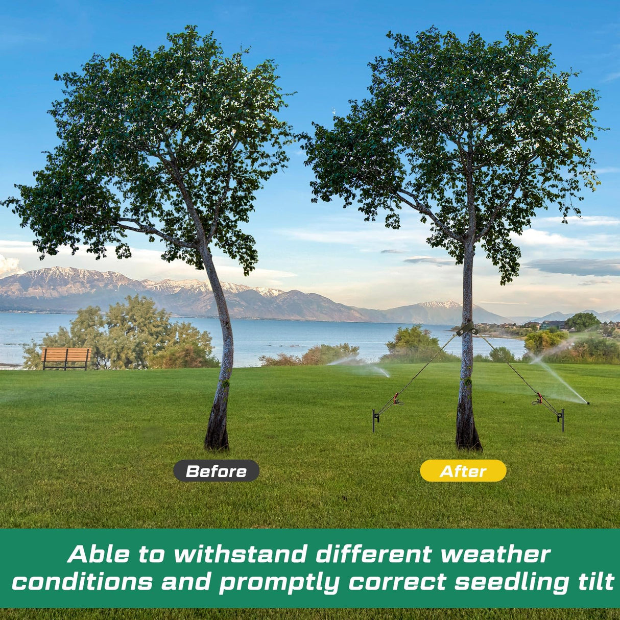 Sintuff 36 Pcs Heavy Duty Tree Stake Kits Stake and Support for Young Leaning Tree Anchor Straightening Kit, 15.8'' Support Straps, 11.8'' Steel Stakes, 13.12ft Rope Against Bad Weather(Army Green)