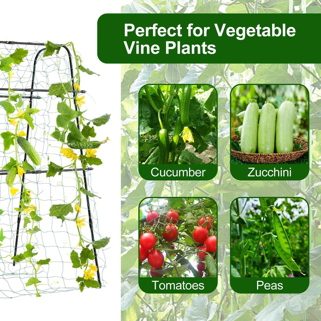 Yotoworth Cucumber Trellis for Raised Bed, 63" Hx63 L, Black