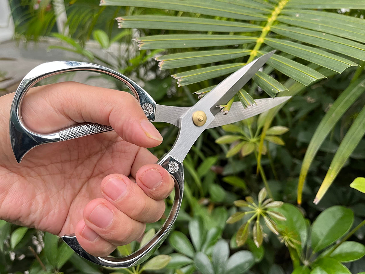 Horsvill Indoor Plant Shears Garden Scissors, Flower Pruners Made of Japan SK5 Stainless Steel, Flowers Herbs and Plant Cutters, Clippers, Trimmers, Loppers, Bonsai Potted Plant Pruning Scissors