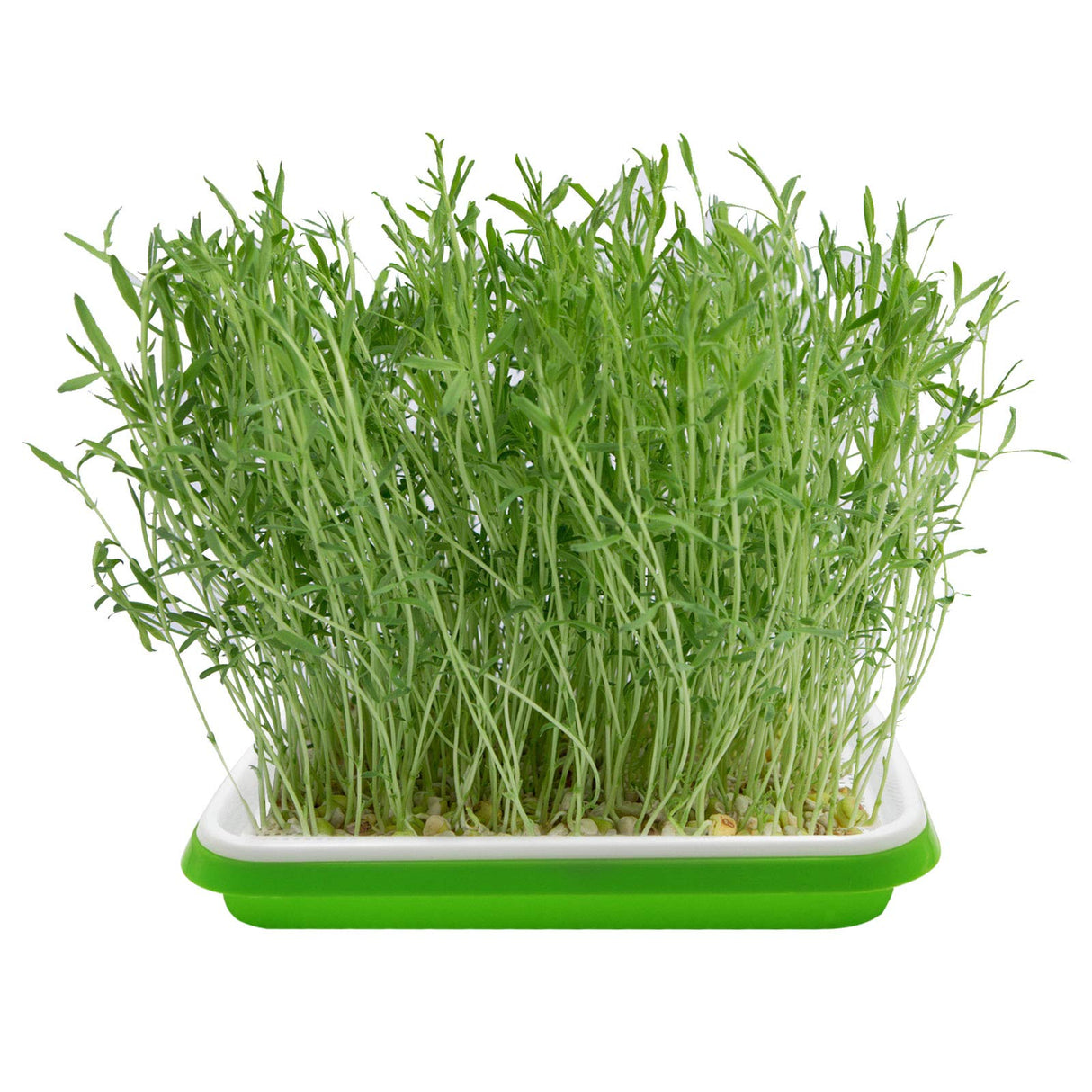 5 Layers Seed Starter Kit - Seed Sprouter Trays with Clear Lid & Stainless Steel Shelf, Soil-Free Germination Trays for Indoor/Outdoor Microgreens, Wheatgrass Mung Beans Cat Grass & Seedling Growing