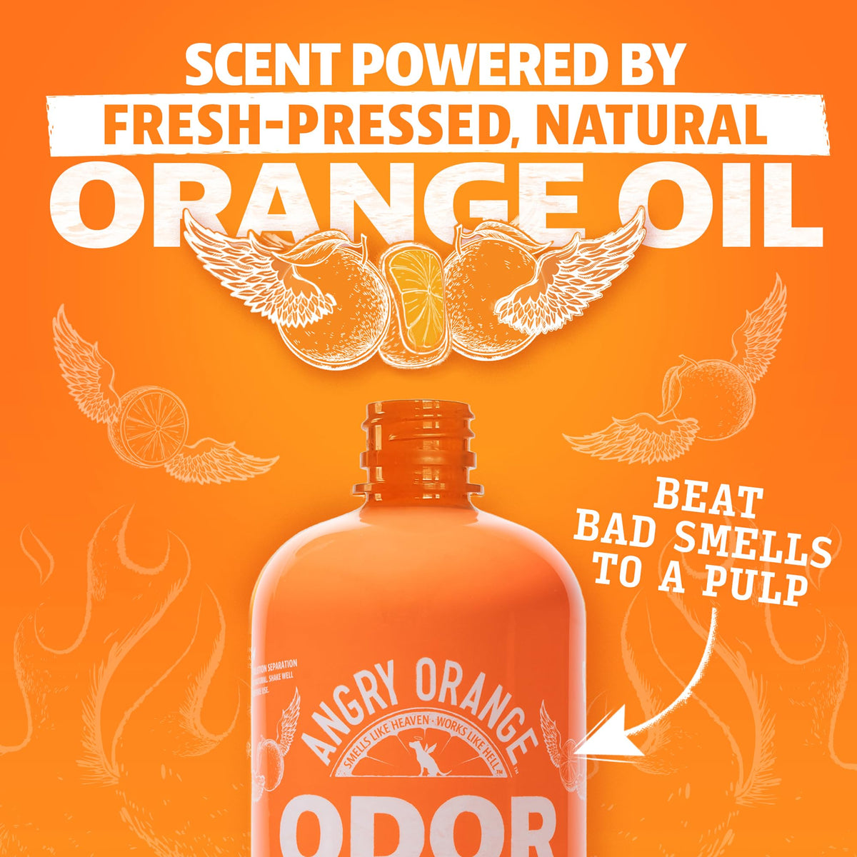 ANGRY ORANGE Pet Odor Eliminator for Dog and Cat Urine, Orange Rush, 24 oz