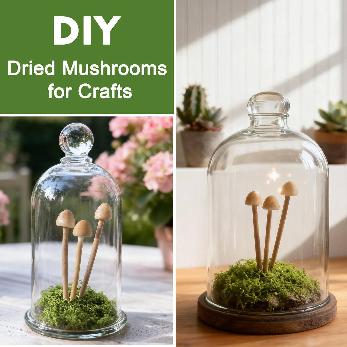 Mumutie 16-Pack Mini Mushrooms for Crafts - Terrarium Decor for DIY Miniature Landscapes & Garden Mushrooms - Desktop Ornaments & Christmas Decorations.