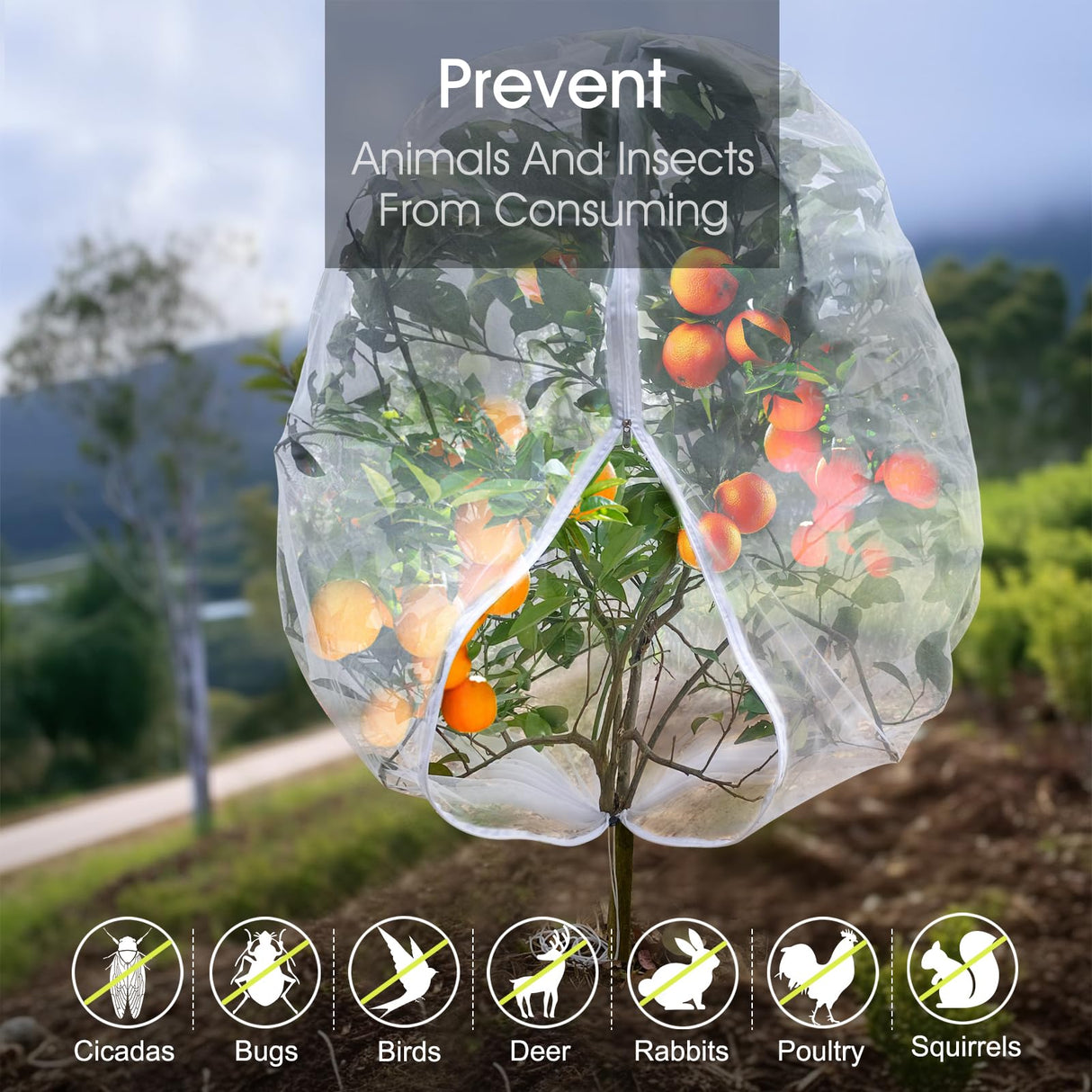 Fruit Tree Netting, RIFNY 3.9 X 3.3 FT Blueberry Bush Netting Cover with Zipper Drawstring, Outdoor Mosquito Net Garden Netting Cover Protector Plant from Birds Cicadas Animals Insect (4 PCS, White)