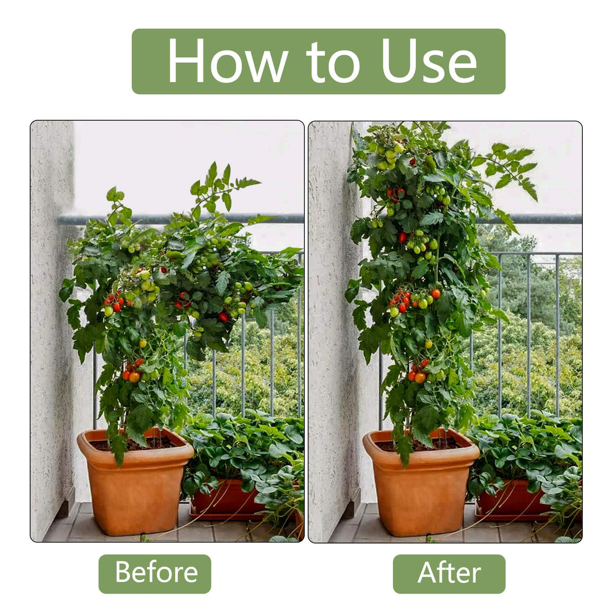 Garden Plant Stakes, 36 Inch 3Ft Steel Tomato Stakes, 25 Pack