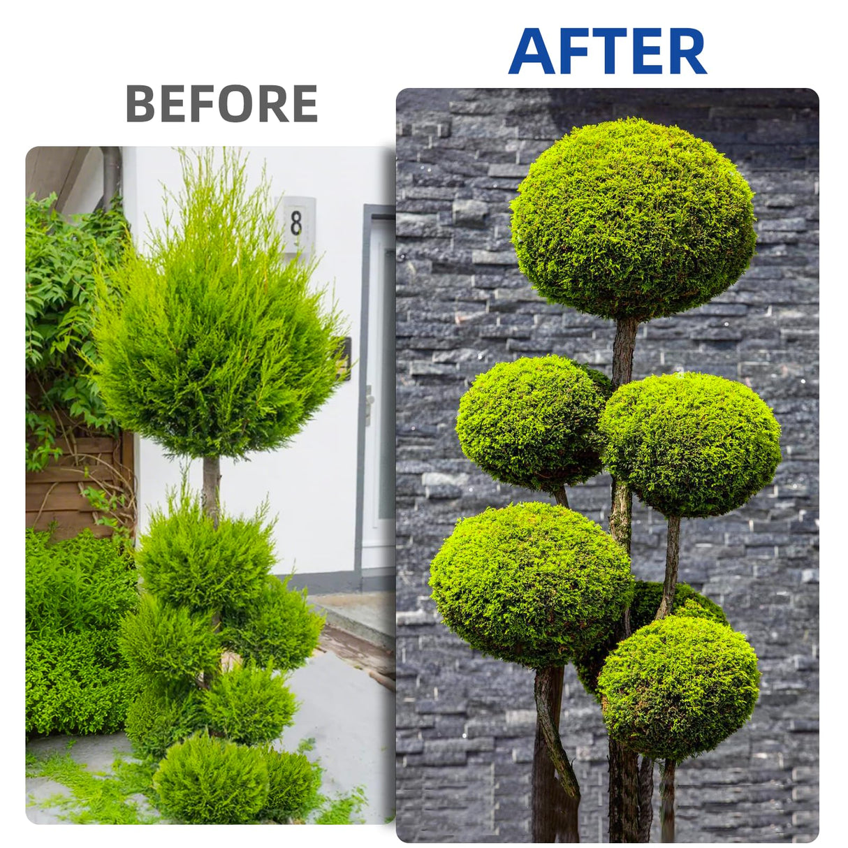 Hedge Clippers Heavy Duty Hedge Shears, Hedge Clippers for Gardening Pruning Shaping Shrubs and Decorative Plants Garden Hedge Shears for Effortless Trimming