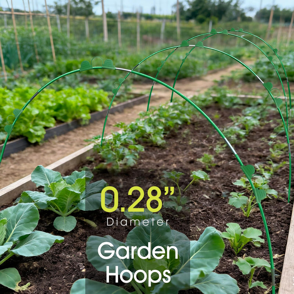 RIFNY 18 PCS Garden Hoops for Raised Beds, Greenhouse Hoops Kit Long Grow Tunnel for Row Cover, Rust-Free Fiberglass Garden Support Poles for Insect Mesh Netting Freeze Plant Cover (Green)