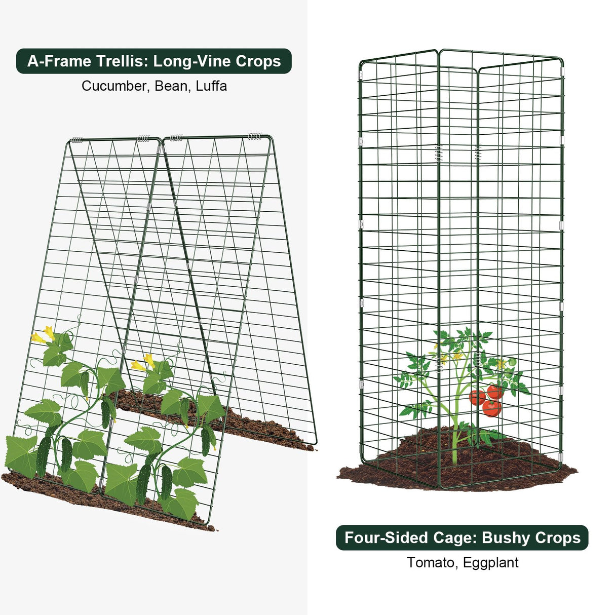 Amoskey Cucumber Trellis, Garden Trellis for Climbing Plants Outdoor, Foldable A-Frame Trellis, Cucumber Trellis for Raised Bed for Cucumbers, Peas, or Tomatoes (Green, Small Grid 48‘’H*34''W)