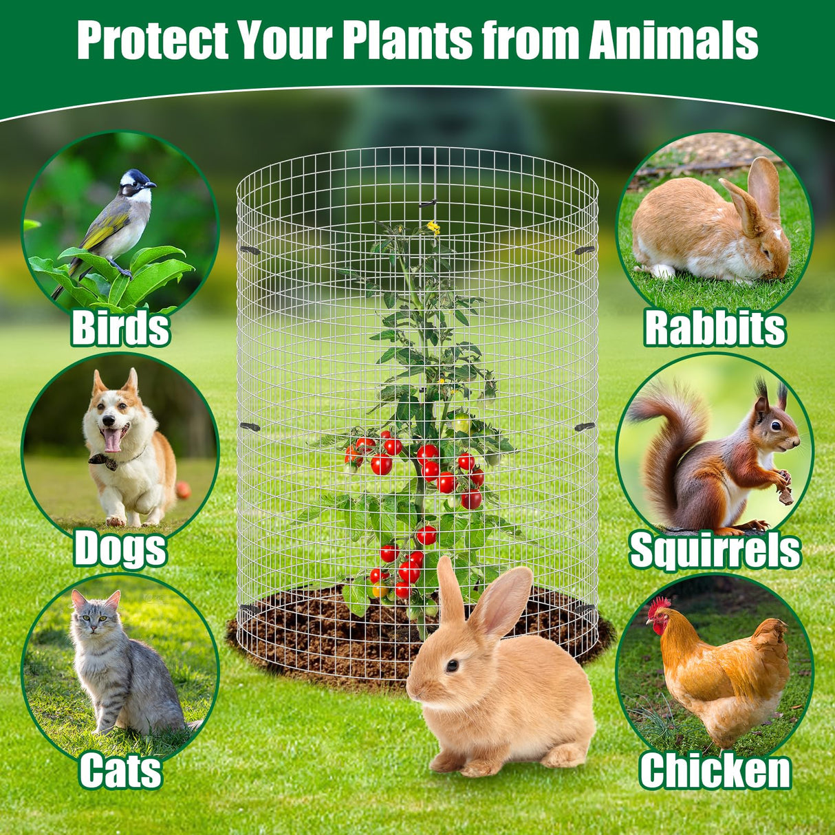 30Pcs Garden Plant Protector Cage 12''x12'', 10 Set Metal Wire Protectors