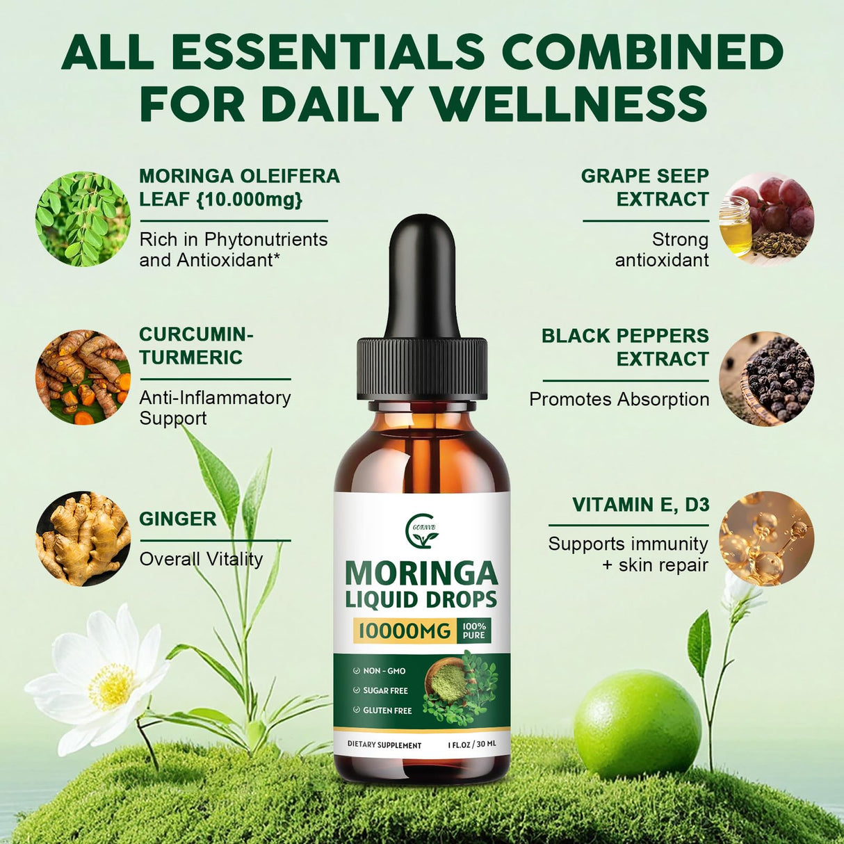 (2 Pack) Organic Moringa Liquid Drops, Moringa Supplement with Turmeric, Black Pepper, Grape Seed Extract, Pure Moringa Oleifera Leaf Extract for Skin, Gut, Immune Support, More Potency Than Powder