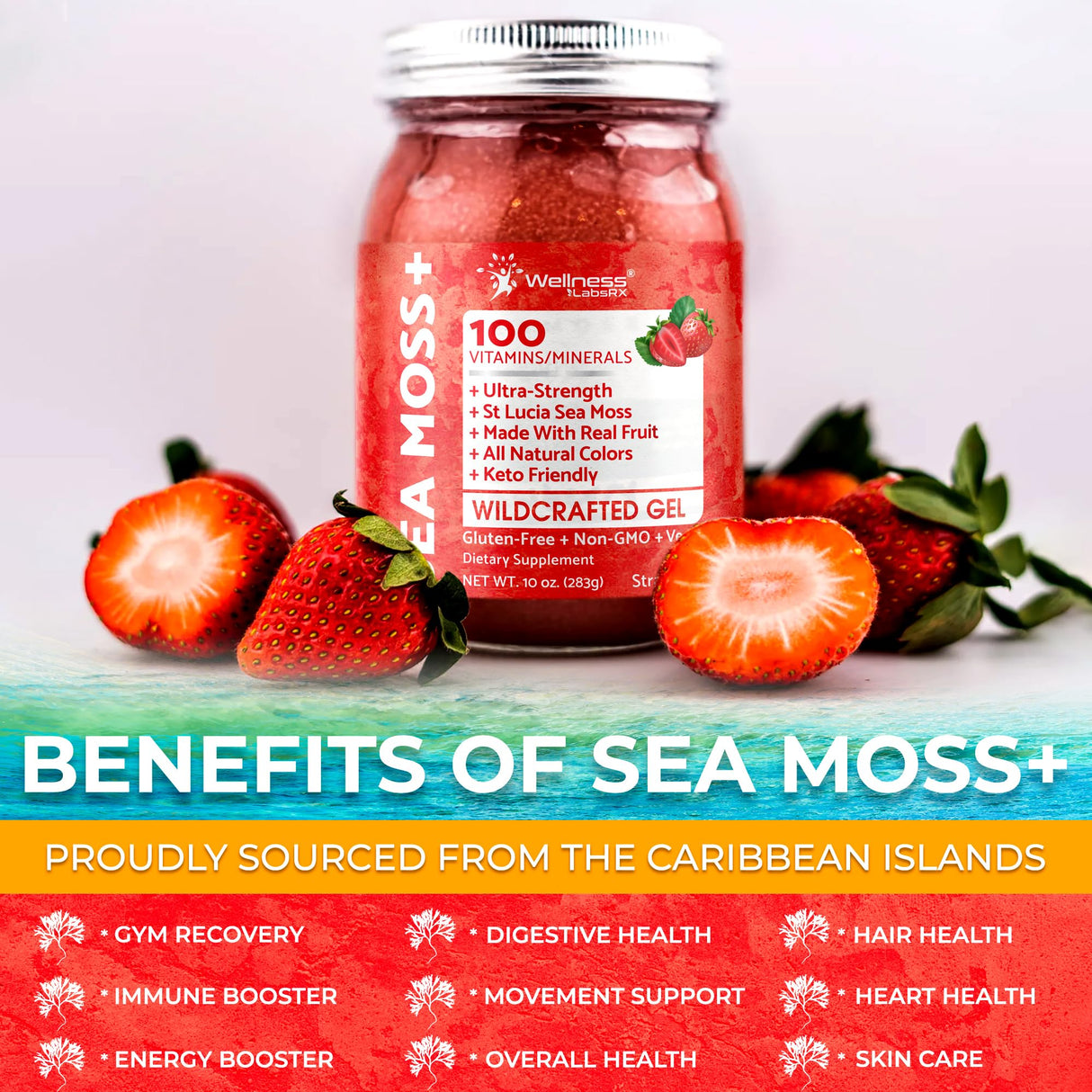 WELLNESS LABSRX Irish Sea Moss Gel Raw - Wildcrafted Superfood Seamoss Gel - Strawberry Flavor, Vitamin and Mineral-Rich from Pristine Caribbean Waters, Immune and Digestive Health Support - 10 oz.
