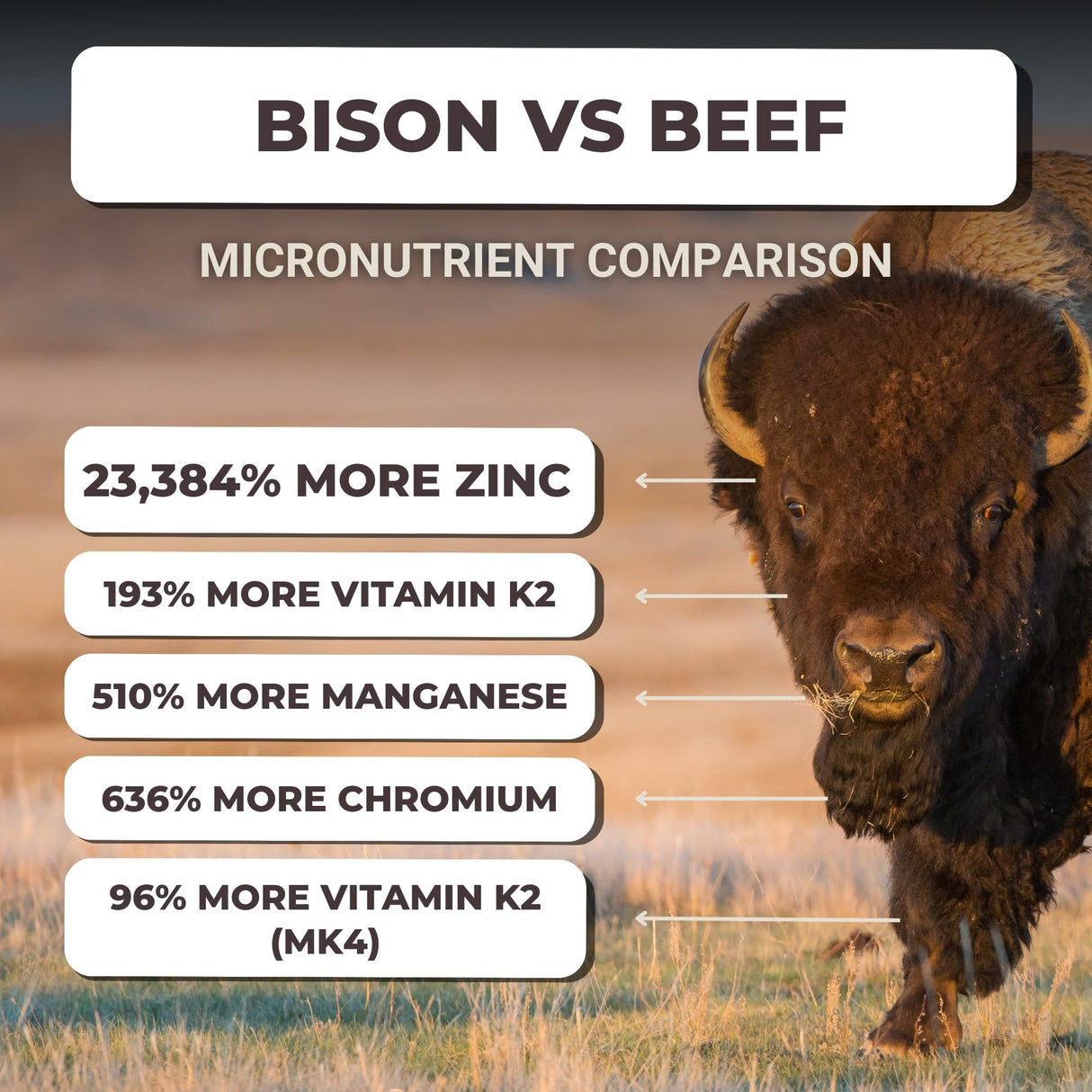 MK Supplements American Beast – Strength, Endurance & Recovery Support – 150 Capsules (30 Servings) – Freeze-Dried American Bison, 100% Grass-Fed, Bison Liver and Bison Heart, Whole-Food Formula