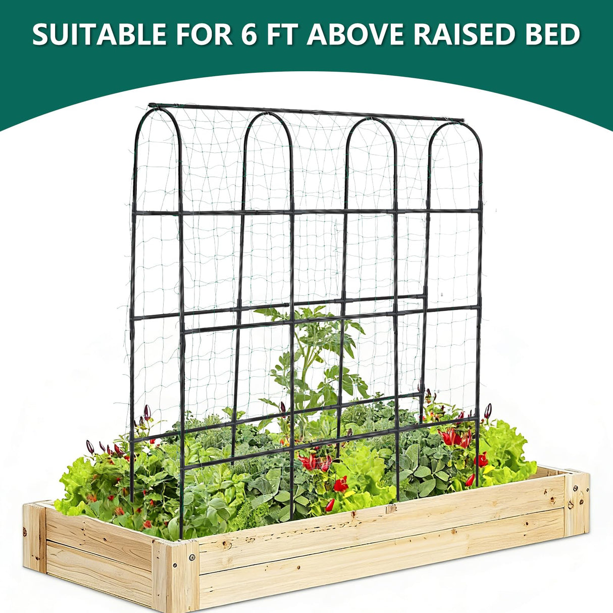 SUMGROW 6 ft Tall, Garden Trellis for Climbing Plants Outdoor with Nylon Net for Cucumbers Vines Beans Raised Bed - Lightweight Metal, Black