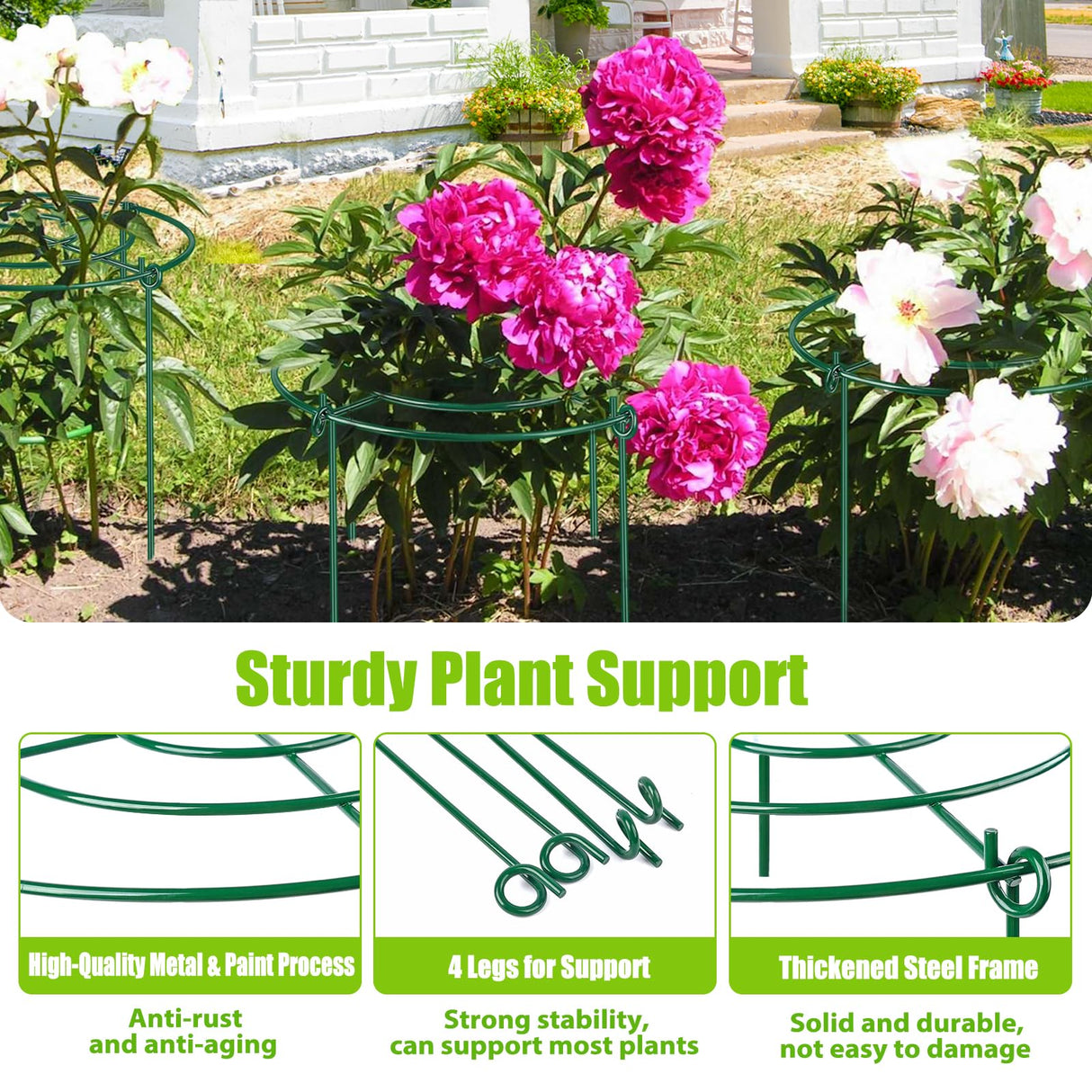 MJZ 4 Pack Peony Cages and Supports, 11.5" Dx16 H Metal Plant Supports