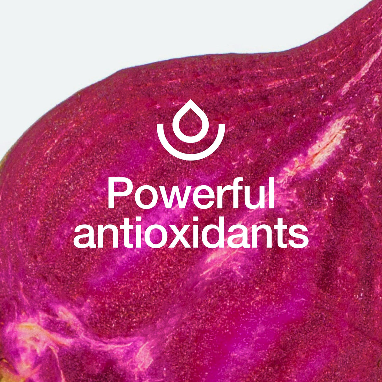 Fresh Nutrition Organic Beet Root Capsules - 2400mg Potent Dosage - Antioxidant Support - Vegan, Non GMO, Gluten-Free - 90 Capsules