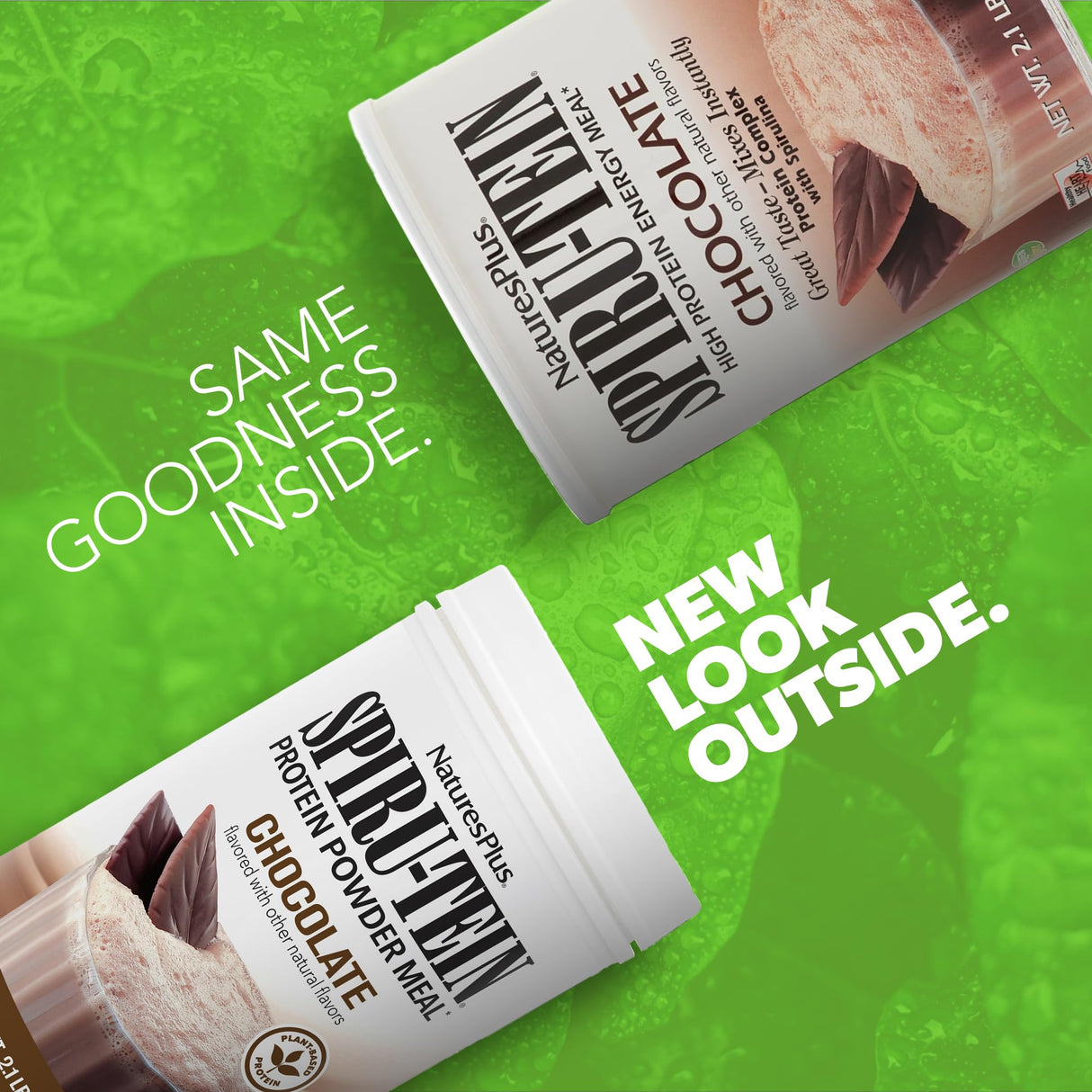 NaturesPlus Spiru-Tein, Chocolate - 2.1 lb - Protein Complex with Spirulina - 14 g of Plant-Based Protein Per Serving - Non-GMO, Vegetarian - 34 Servings