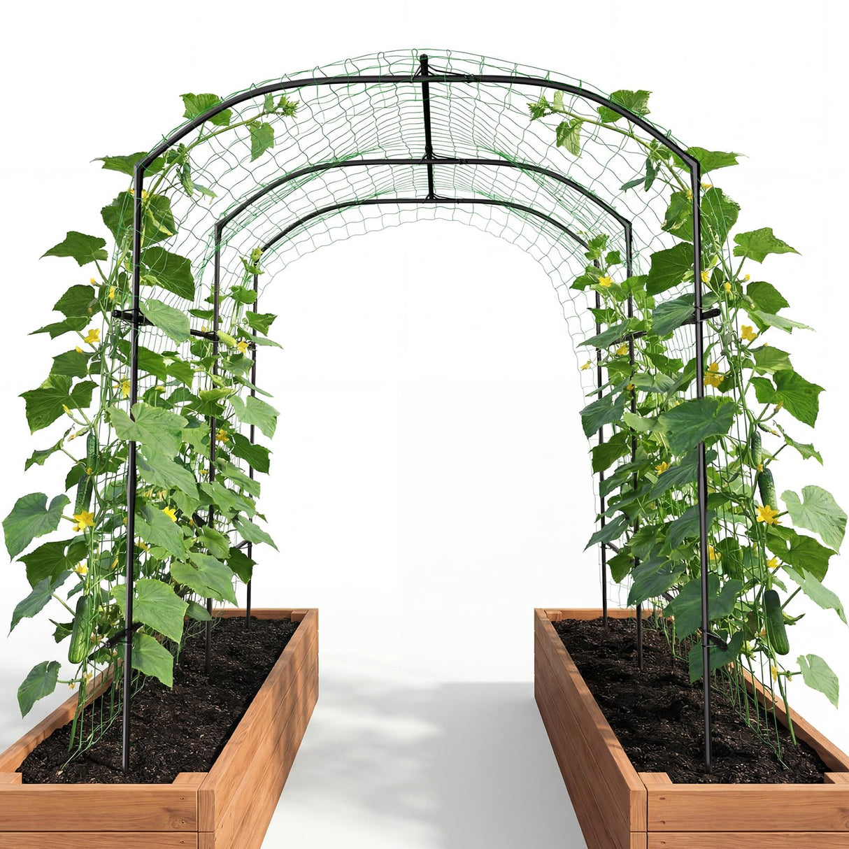 DoCred Garden Arch Trellis, 87''H x 75''L Metal Trellis for Climbing Plants